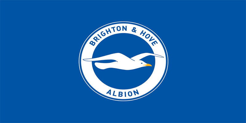 Discover the Untold Journey of Brighton & Hove Albion FC!