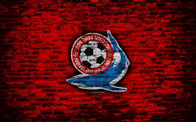 Hapoel Haifa FC