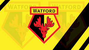 Watford FC